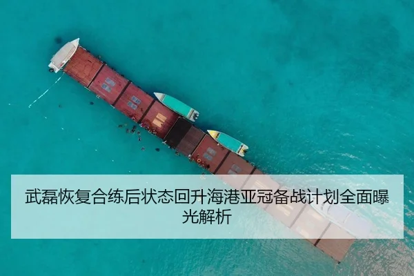 武磊恢复合练后状态回升海港亚冠备战计划全面曝光解析