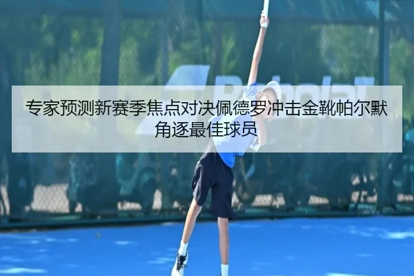 专家预测新赛季焦点对决佩德罗冲击金靴帕尔默角逐最佳球员